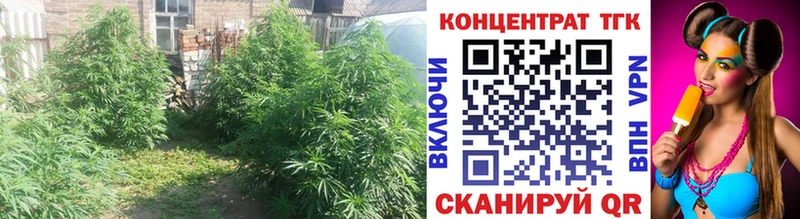 Дистиллят ТГК жижа  blacksprut зеркало  Кимовск 