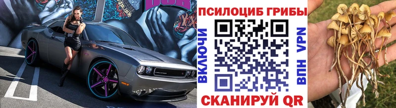 Псилоцибиновые грибы мицелий  дарнет шоп  MEGA зеркало  Кимовск 